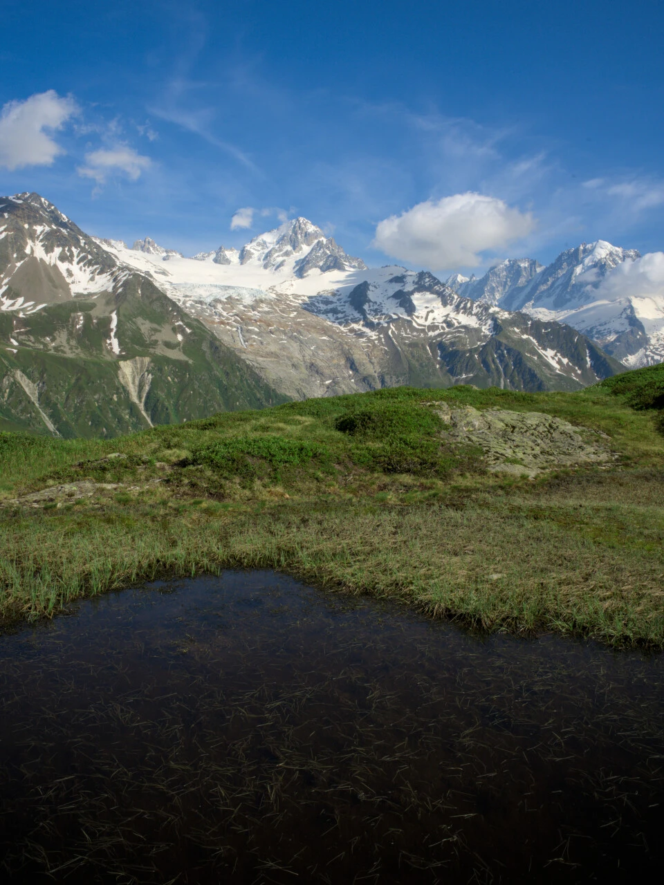 Alpiner Weiher und Aiguille du Chardonnet auf dem Weg zum Col de Balme