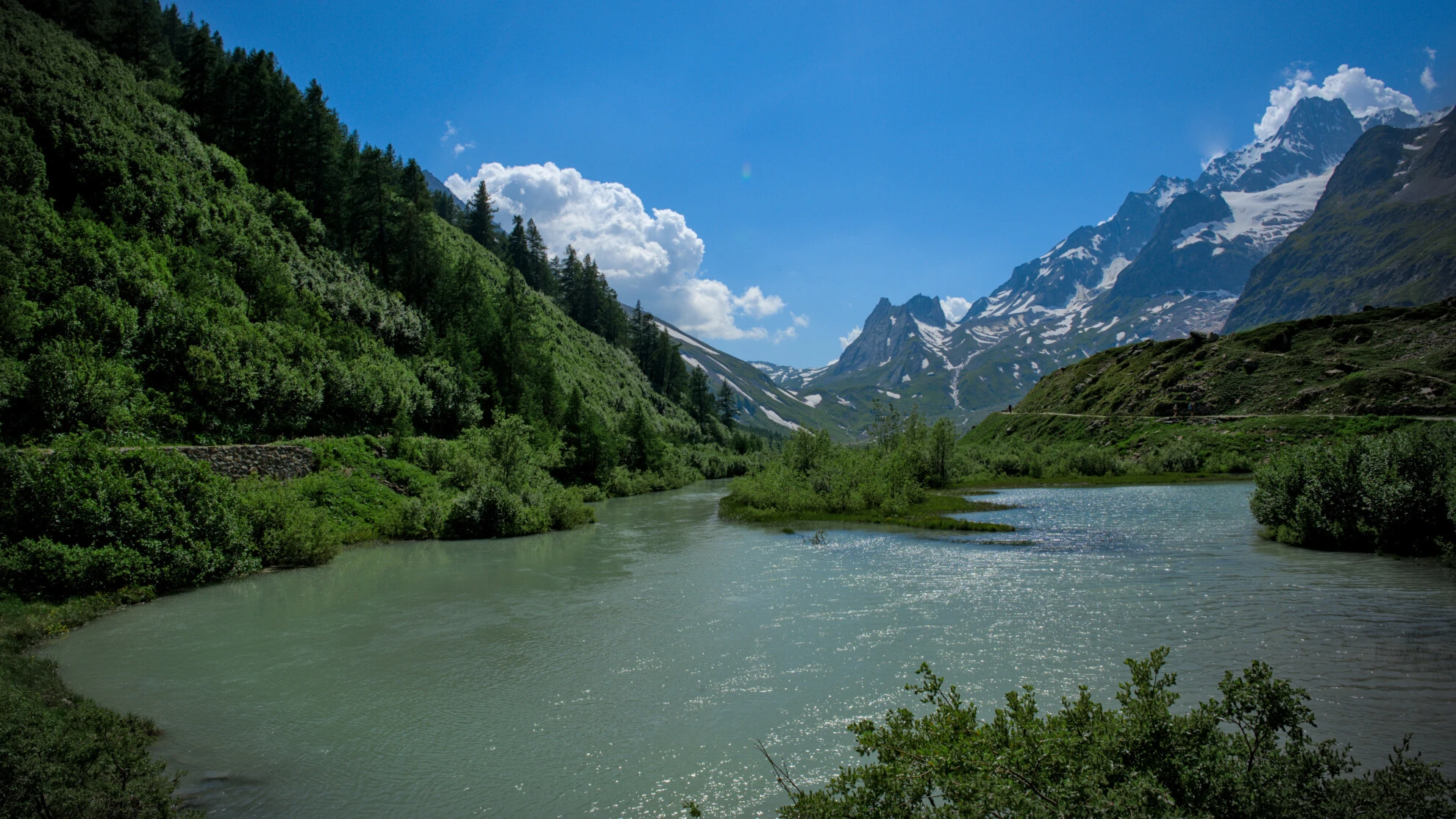 Das Val Ferret unter den Grandes Jorasses, zwischen Wiese und Gletscherbach