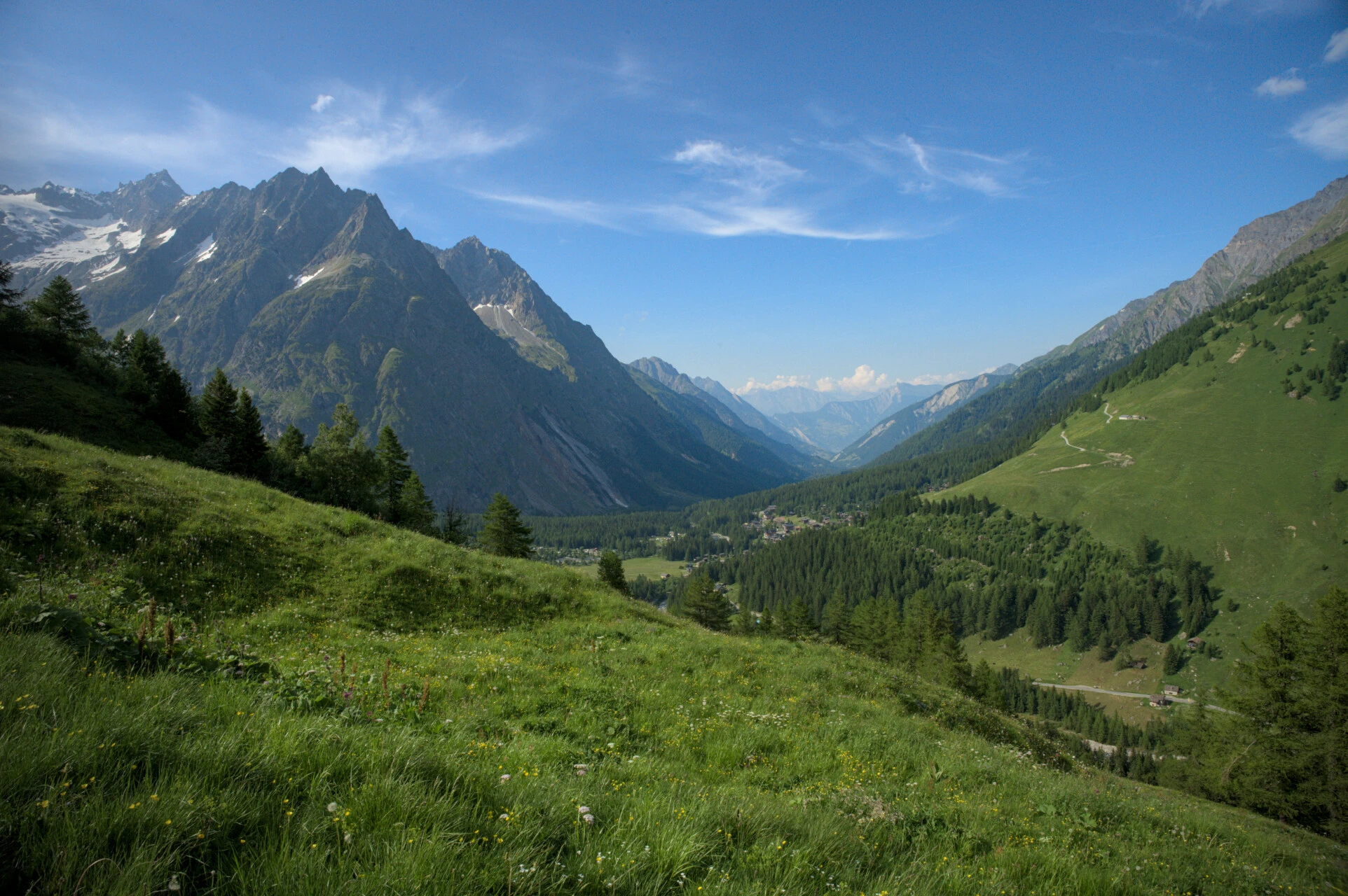 Wiese im Schweizer Val Ferret mit den Mont-Blanc-Gletschern im Hintergrund