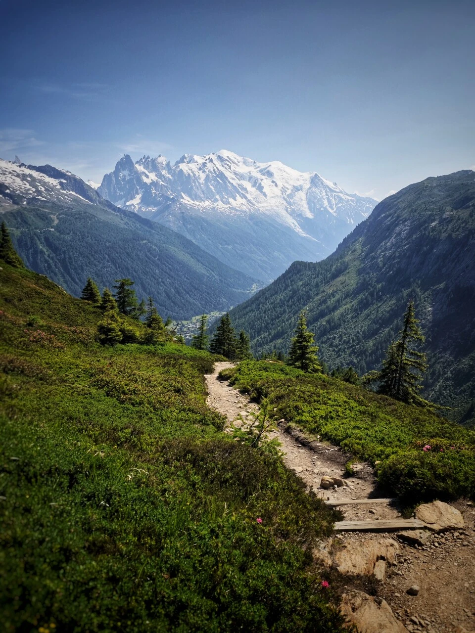 Weg durch Alpweiden mit Blick auf den Mont-Blanc, zwischen Col de Balme und Trè-le-Champ