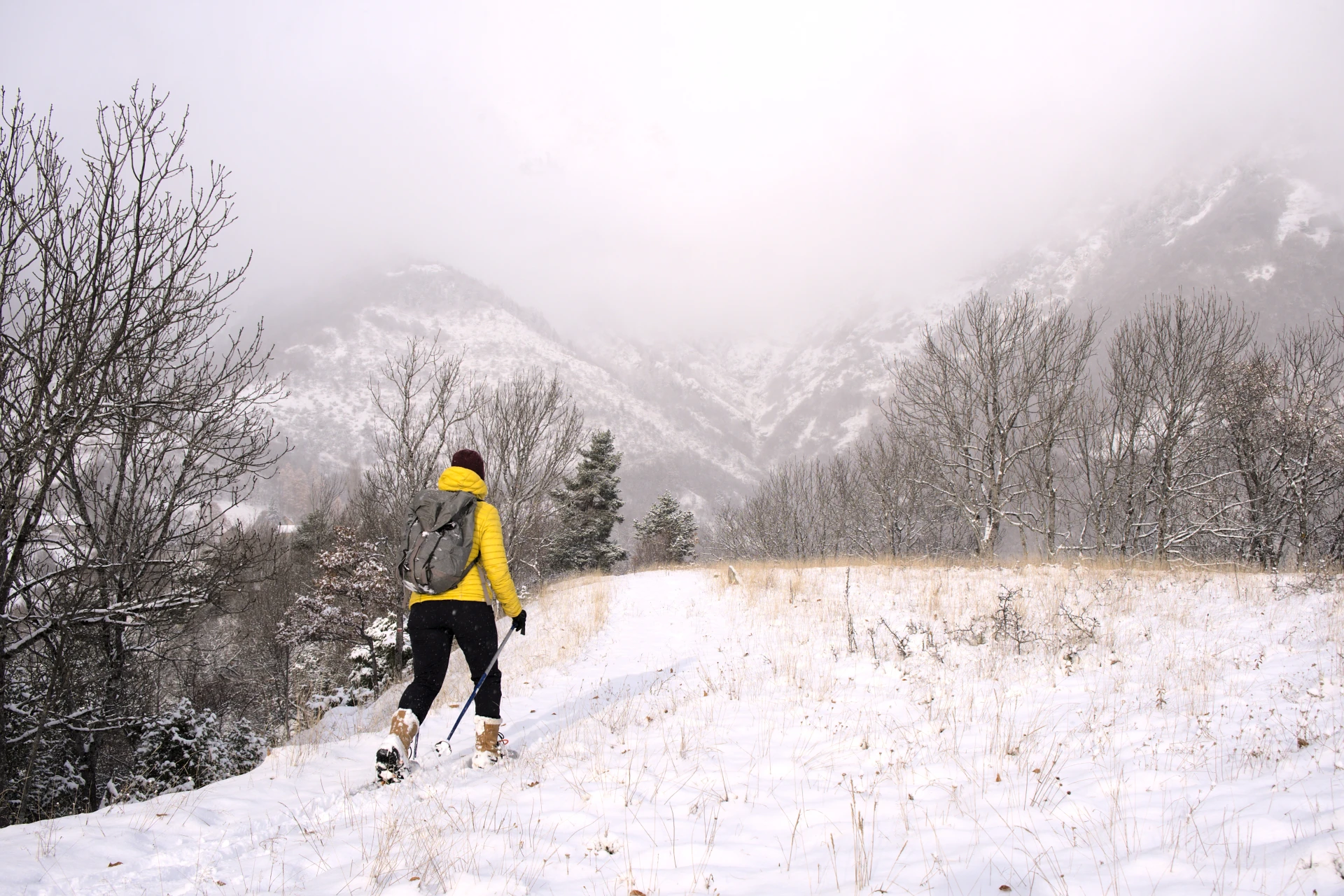 Schneischuh-Einsteigerkurs