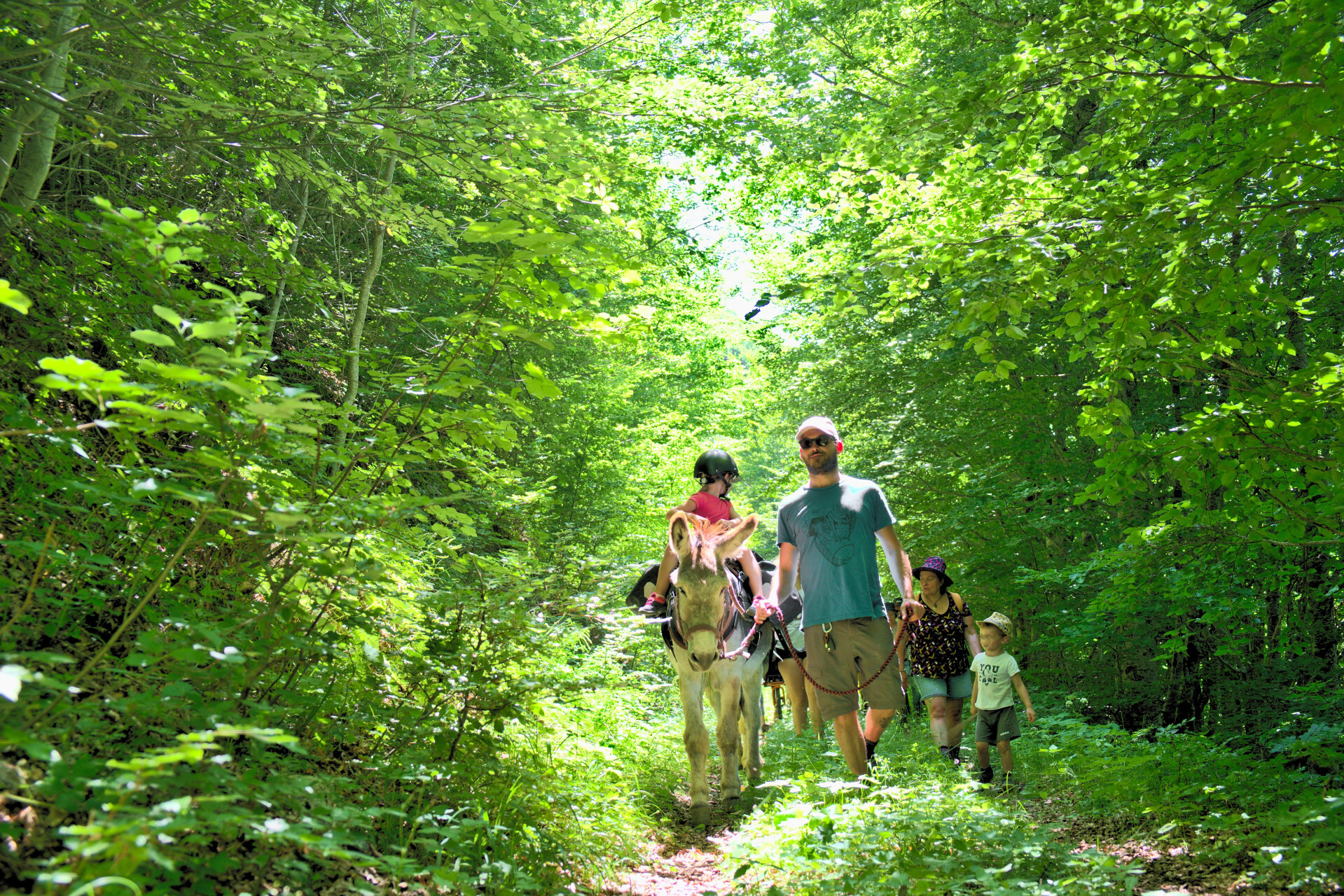 Eselwanderung in den französischen Alpen 2026