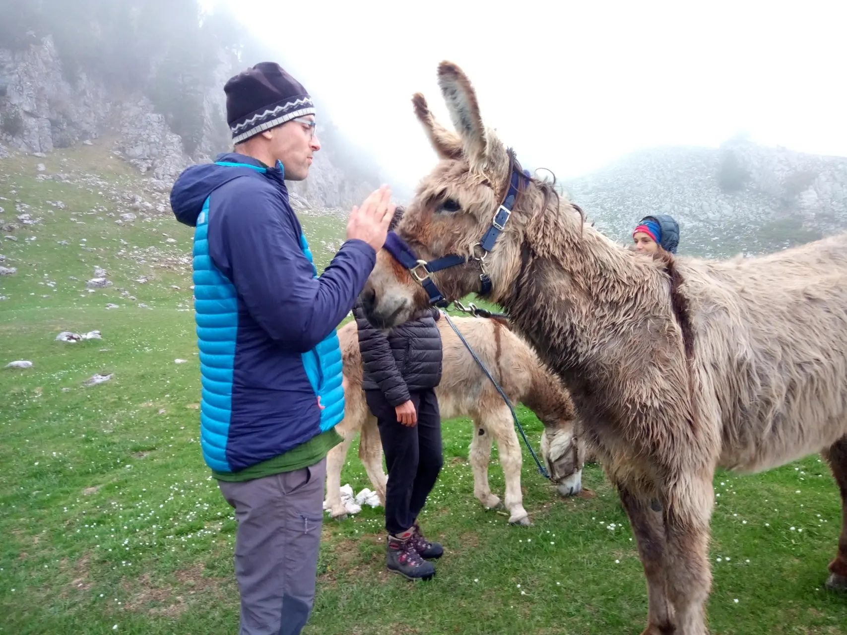 Familienwanderung mit Eseln – Vercors-Hochplateaus – Junger Vater