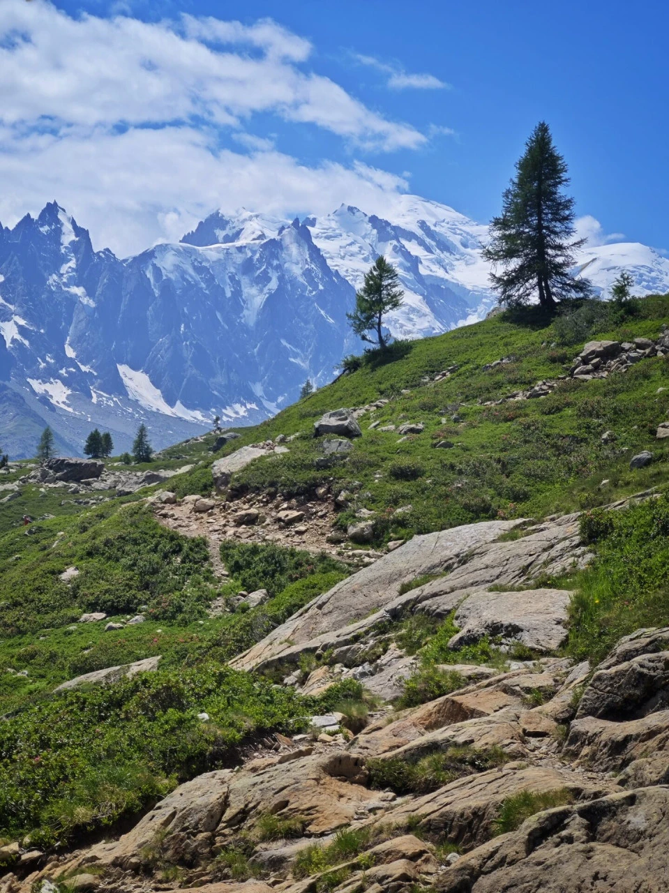 Der Weg oberhalb des col des Montets, das Mont-Blanc-Massiv den ganzen Aufstieg über als Gegenüber