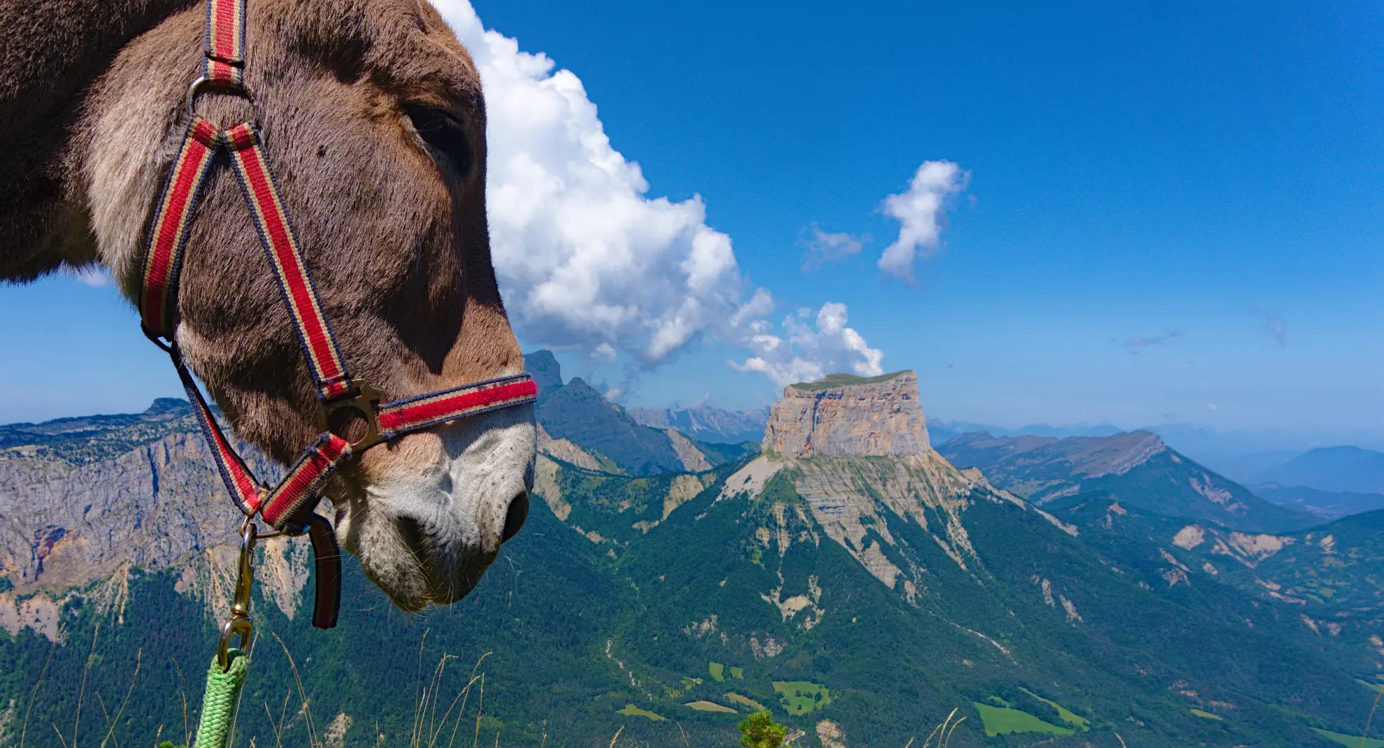 Überquerung der Vercors-Hochplateaus mit einem Esel